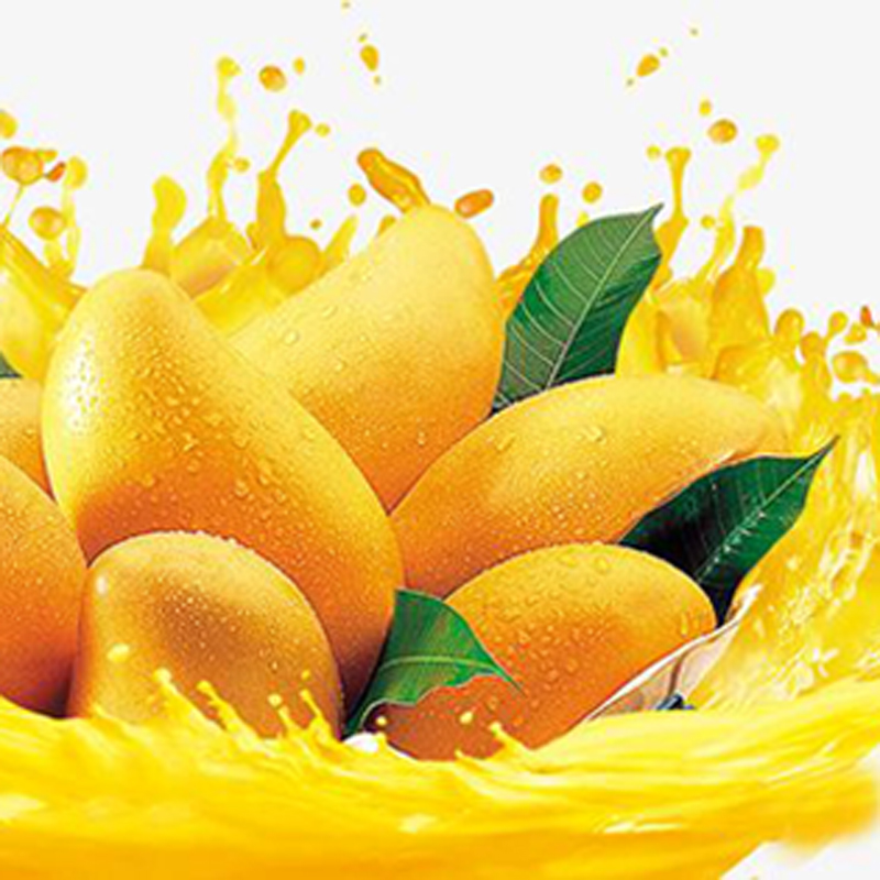 ʳ��â���㾫