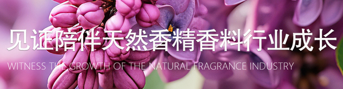 ��˾����