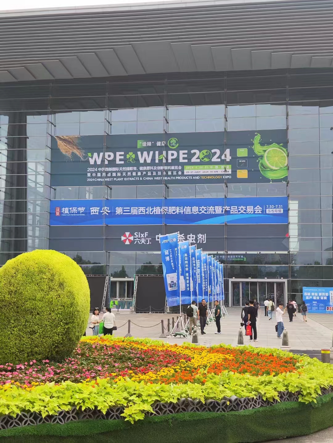 �������ʹ�������2024�й�������Ȼ��ȡ��չ